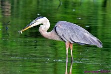 DSC_6066_001.JPG