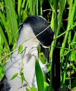 DSC_6419_001.JPG