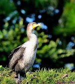 DSC_6543_001.JPG