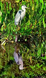 DSC_6617_stitch6_001.JPG