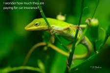 _DSC7160-topaz-denoiseraw-sharpen2.jpg