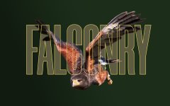 low res.jpg