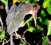 DSC_6822_001.JPG