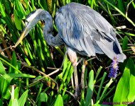 DSC_6883_001.JPG