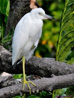 DSC_6901_001.JPG