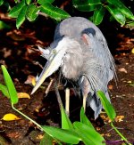 DSC_7030_001.JPG