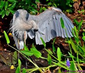 DSC_7034_stitch4_001.JPG