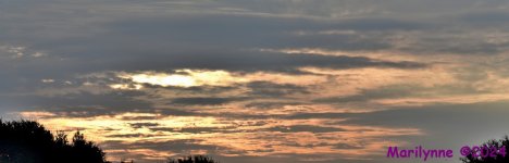 DSC_7072_stitch5_001.JPG