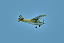 500_0025R_CoN_cr.jpg
