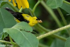 RD5_2251-Edit.jpg