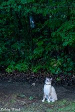 RD5_1886-Edit.jpg