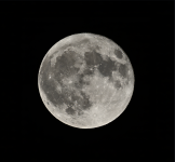 2024-08-19_22-48-16G0MMsT3.png