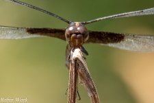 20240823-RD5_3268-Edit.jpg
