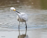 SnowyFishing-90.jpg
