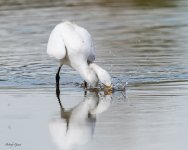 SnowyFishing-91.jpg
