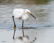 SnowyFishing-92.jpg