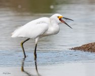 SnowyFishing-95.jpg