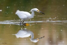 SnowyFishing-96.jpg