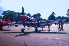 _DSC7958-DeNoiseAI-severe-noise.jpg