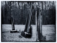 3 grave stones.JPG