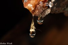R81_3341-Edit-Edit.jpg