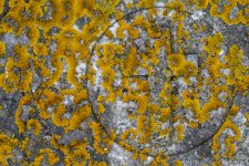Abstract gravestone.jpg