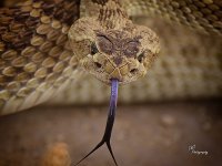 09-15-24_D504083-ON1-CR.jpg