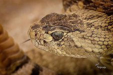09-15-24_D504096-ON1-CR 1.jpg