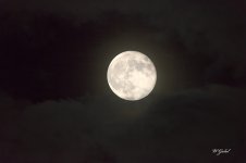Moon 9_18_2024.jpg