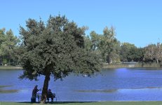 2024-09-26_10-38-02Gs.jpg