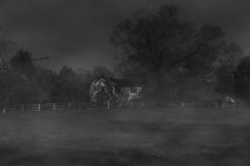 R81_3983-Edit.jpg