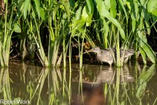RD5_4886-Edit.jpg