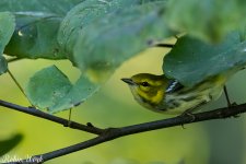 RD5_5707-Edit.jpg