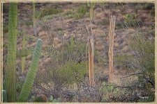 10-25-24_D504107-ON1-CR.jpg