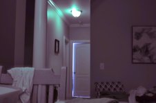 1730921683428 revised-1.jpg