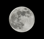 2024-11-16_19-20-45-curvesT3.png