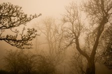 Park-20.jpg