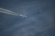 Lufthansa.jpg