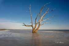_DSC2019-2-2.jpg