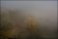 51096574358_dec68e3081_o.jpg