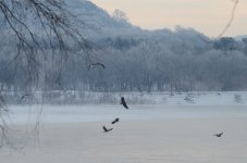 DSC_1583.JPG