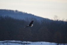 DSC_3649.JPG