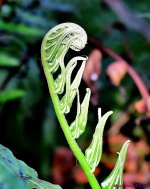 DSC_6641_001.JPG