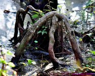 DSC_6644_001.JPG