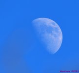 500_9915_001.JPG