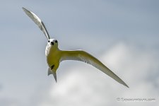 DSC_7545-Edit-3.jpg