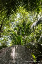 DSC_8807.jpg