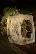 Christmas tree in ice_final.jpg