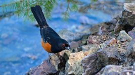 DSC_0151.JPG