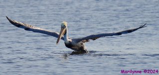 DSC_7557_001.JPG